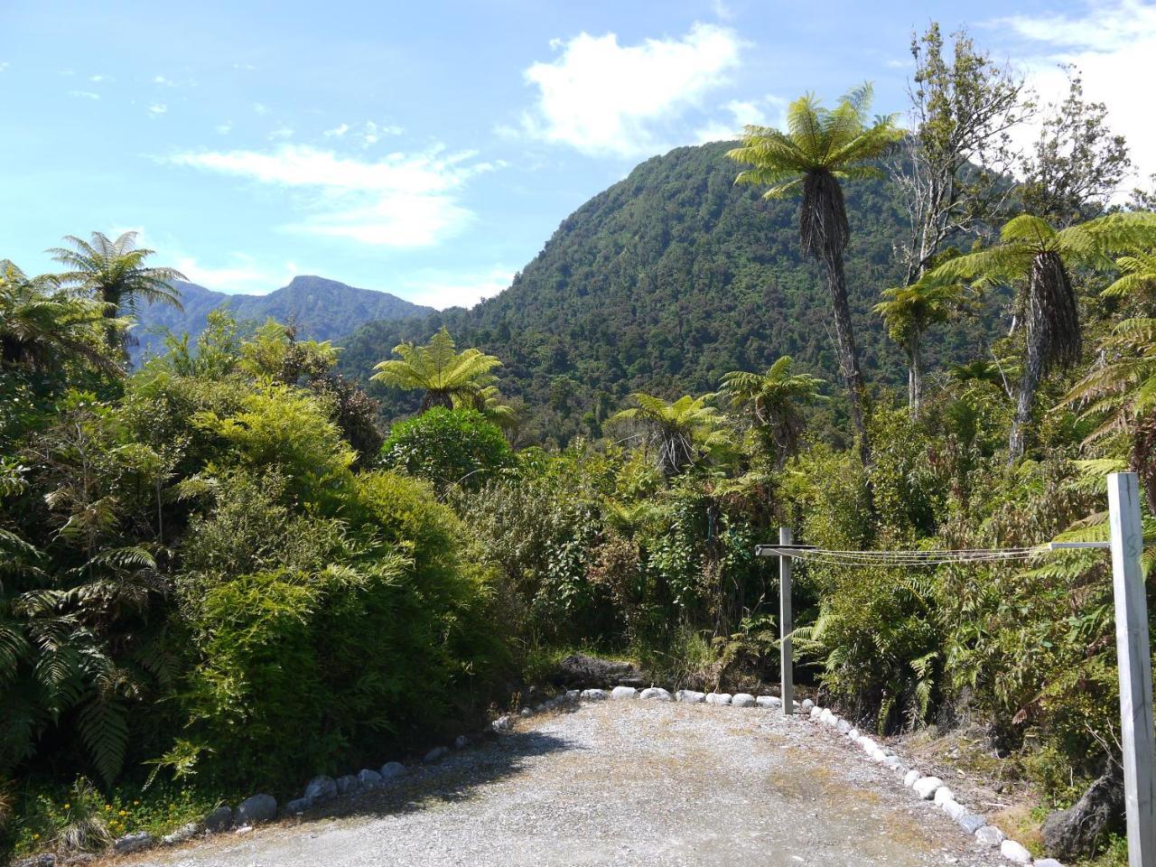 Franz Josef Treetops Luaran gambar