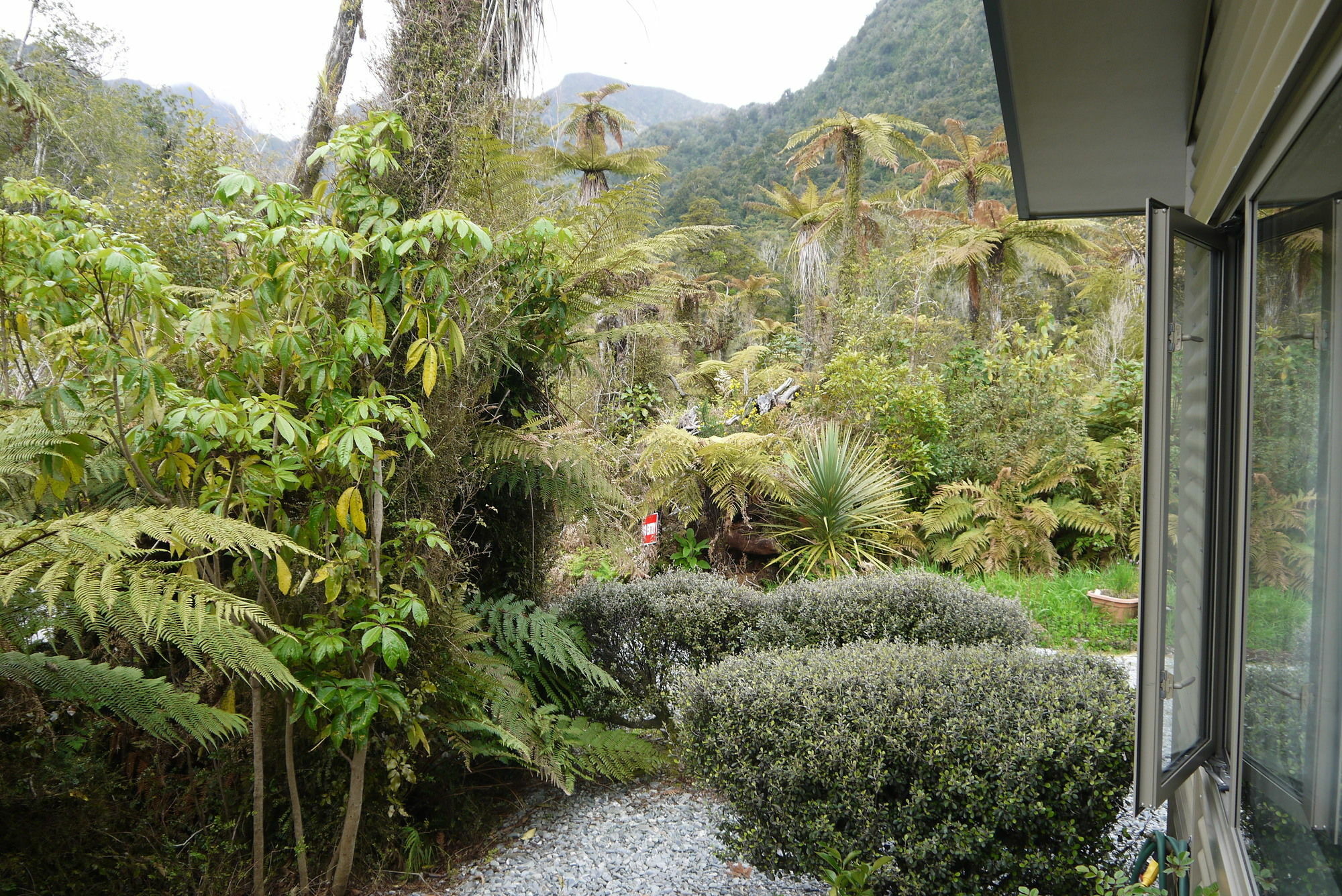 Franz Josef Treetops Luaran gambar